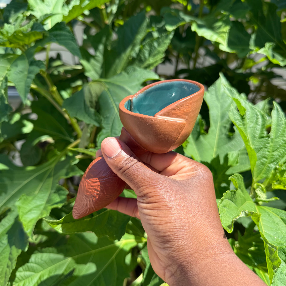 Aqua Scoop