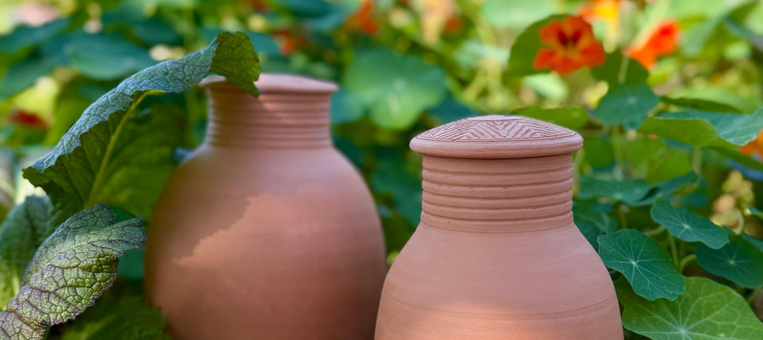 An Ancient Solution for Sustainable Gardening