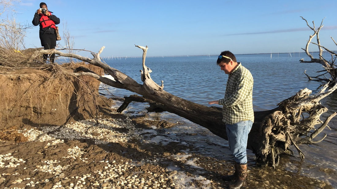 Disappearing Pottery Shards in Louisiana