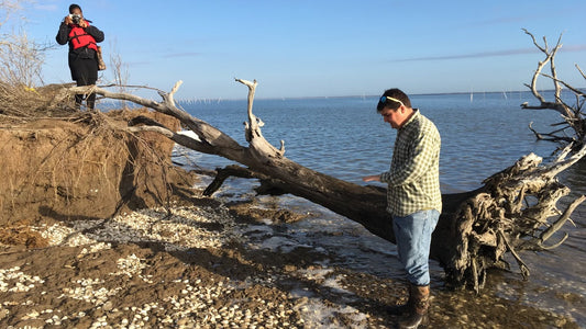 Disappearing Pottery Shards in Louisiana