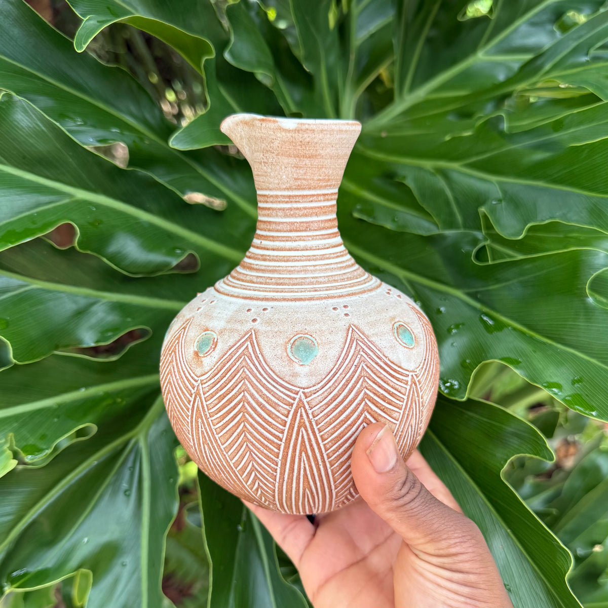 Aqua Dot Tulu