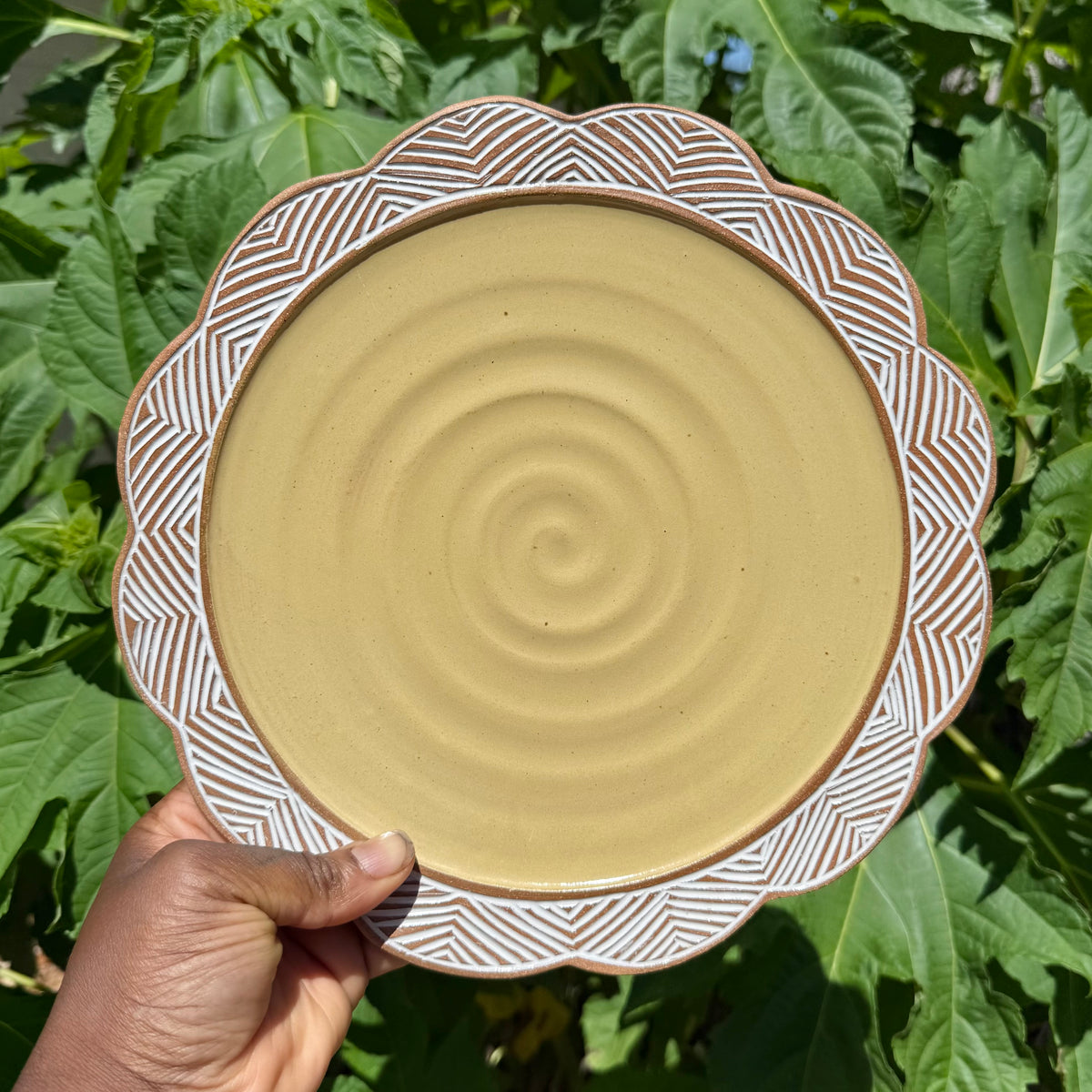 Yellow Scalloped Rim Dinner Plate