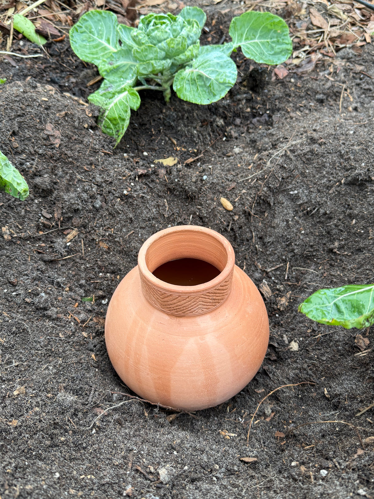 Pre-Order Large Olla
